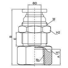 PMF 10-02, 10mm O.D Tubing PT, R, BSPT 1/4 Bulkhead Female Straight, Push to Connect Fitting