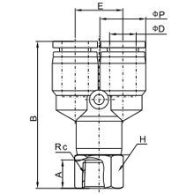 PXF 06-03, 6mm O.D Tubing to R, PT, BSPT 3/8 Female Y Connector, Push to Connect Fitting